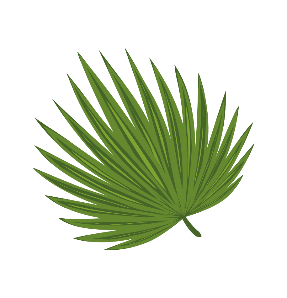 Hoja abanico