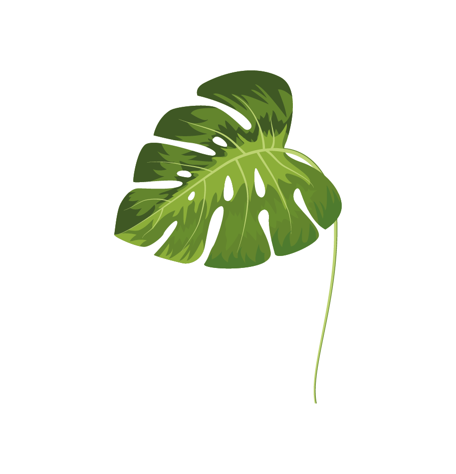 Monstera