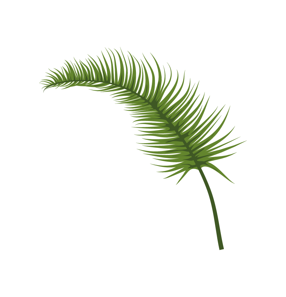 Palma