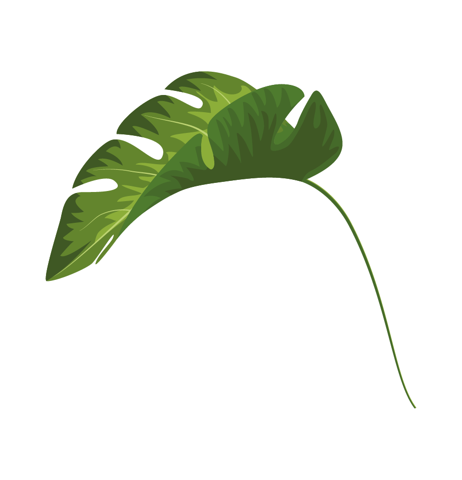 Hoja tropical